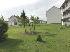 Bild: Stetten am kalten Markt - Freundliche 4- Zimmer ETW mit Balkon in Stetten am kalten Markt