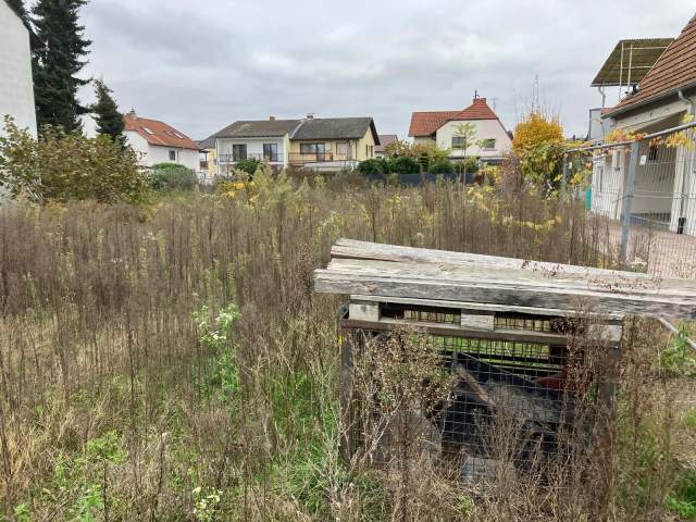 Bild: Speyer - Voll erschlossenes Baugrundstück in Speyerer Bestlage